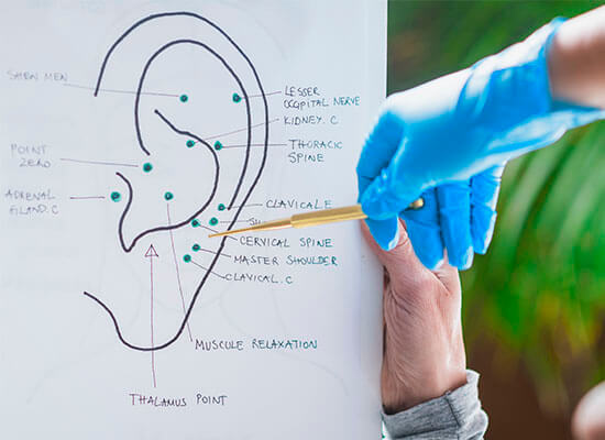Puntos de auriculoterapia